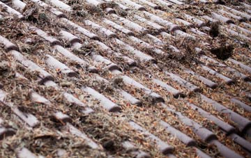 Boston roof cleaning companies