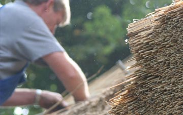 professional Boston thatchers